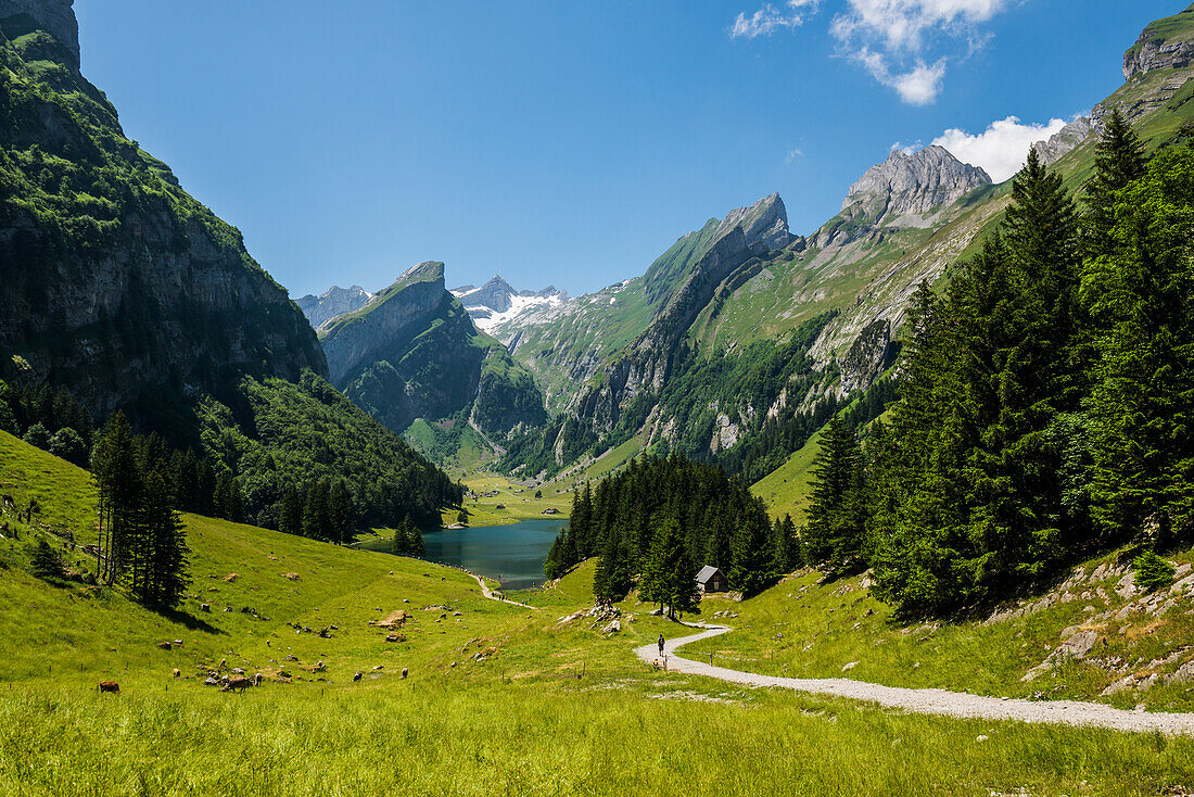 Steile Berge und See, Seealpsee, Wasserauen, Alpstein, Appenzeller Alpen, Kanton Appenzell Innerrhoden, Schweiz