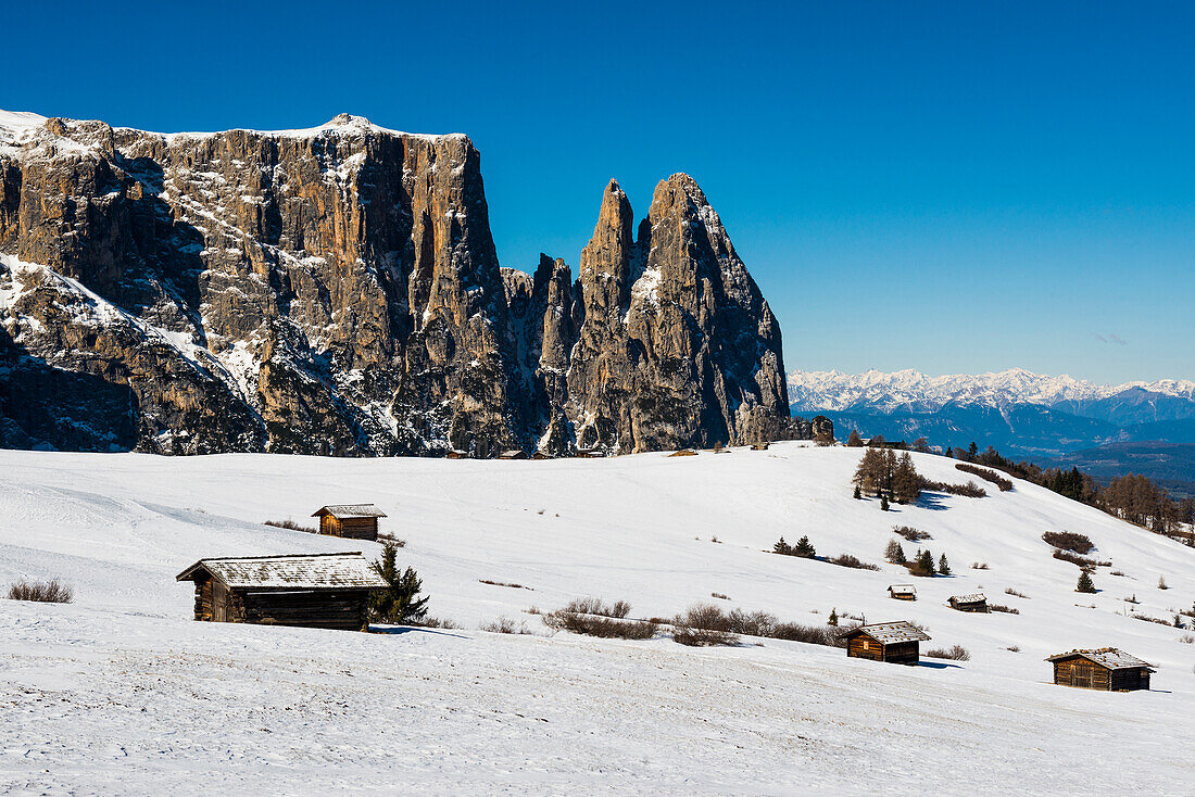 Blick von der Seiser Alm zum Schlern im Winter, Grödnertal, Dolomiten, Südtirol, Italien