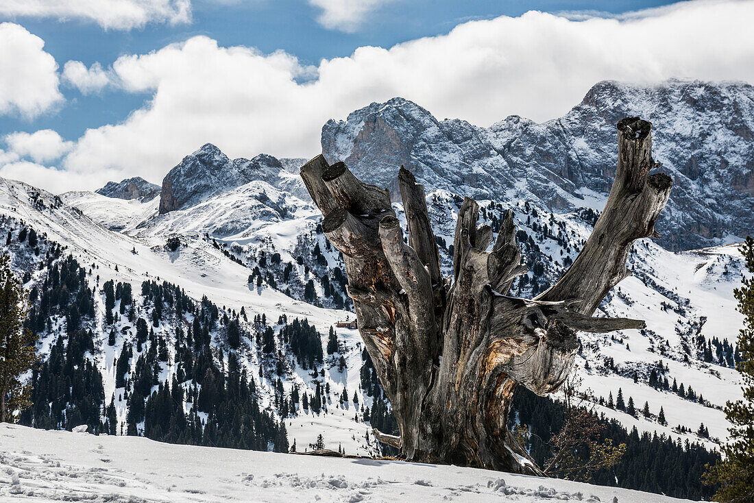 Snow-covered mountains, winter, Seiser Alm, Val Gardena, Dolomites, South Tyrol, Italy