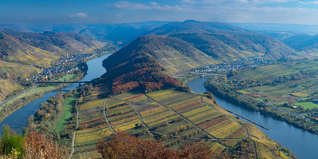Moselschleife bei Bremm im Herbst, Rheinland-Pfalz, Deutschland, Europa