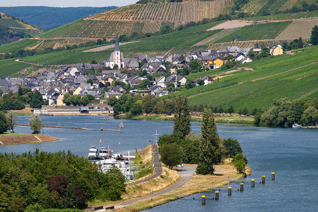 das Weindorf Enkirch an der Mosel, Kreis Berncastel-Wittlich, Rheinland-Pfalz, Deutschland, Europa