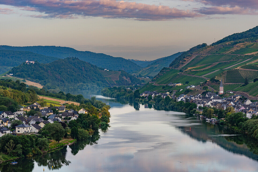 Zell an der Mosel, Stadtteil Merl Mosel, Kreis Cochem-Zell, Rheinland-Pfalz, Deutschland, Europa