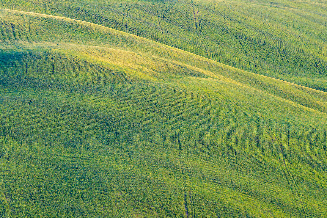 Hilly landscape, Crete Senesi, Siena Province, Tuscany, Italy, Europe