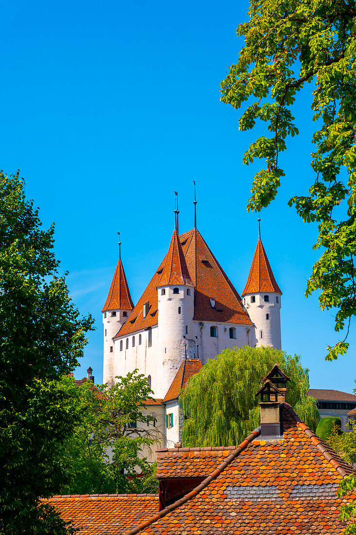 City of Thun with Castle and Trees in a Sunny Day in Bernese Oberland, Bern Canton, Switzerland.