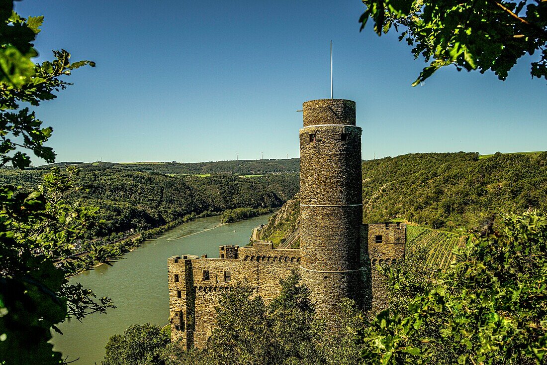 Blick auf Burg Maus und das Rheintal bei St. Goarshausen, Oberes Mittelrheintal, Rheinland-Pfalz, Deutschland