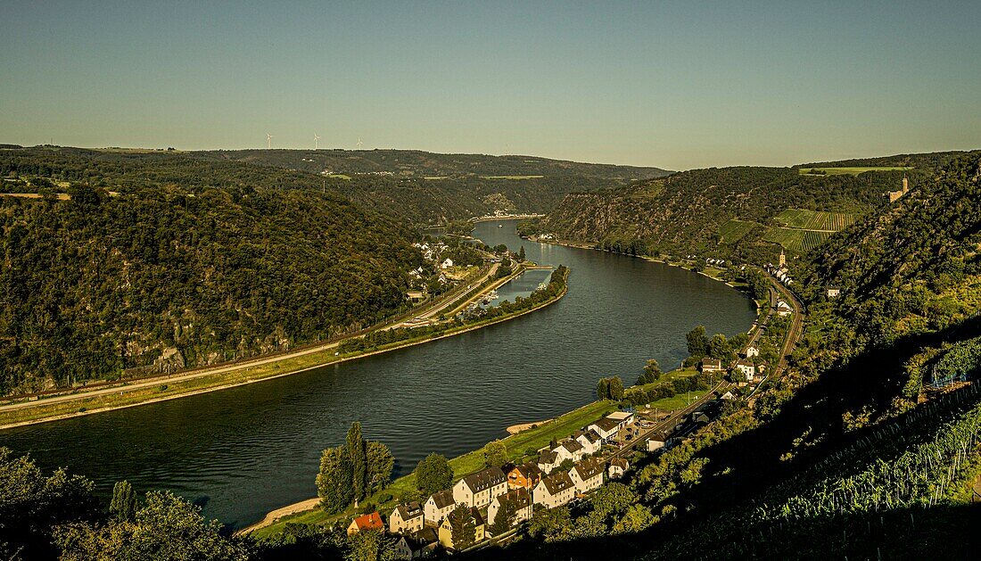 Rhine loop near St. Goarshausen, in the background Maus Castle, Upper Middle Rhine Valley, Rhineland-Palatinate, Germany