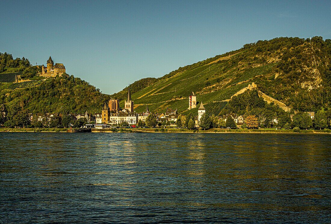 Altstadt von Bacharach und Burg Stahleck im Morgenlicht, Oberes Mittelrheintal, Rheinland-Pfalz, Deutschland