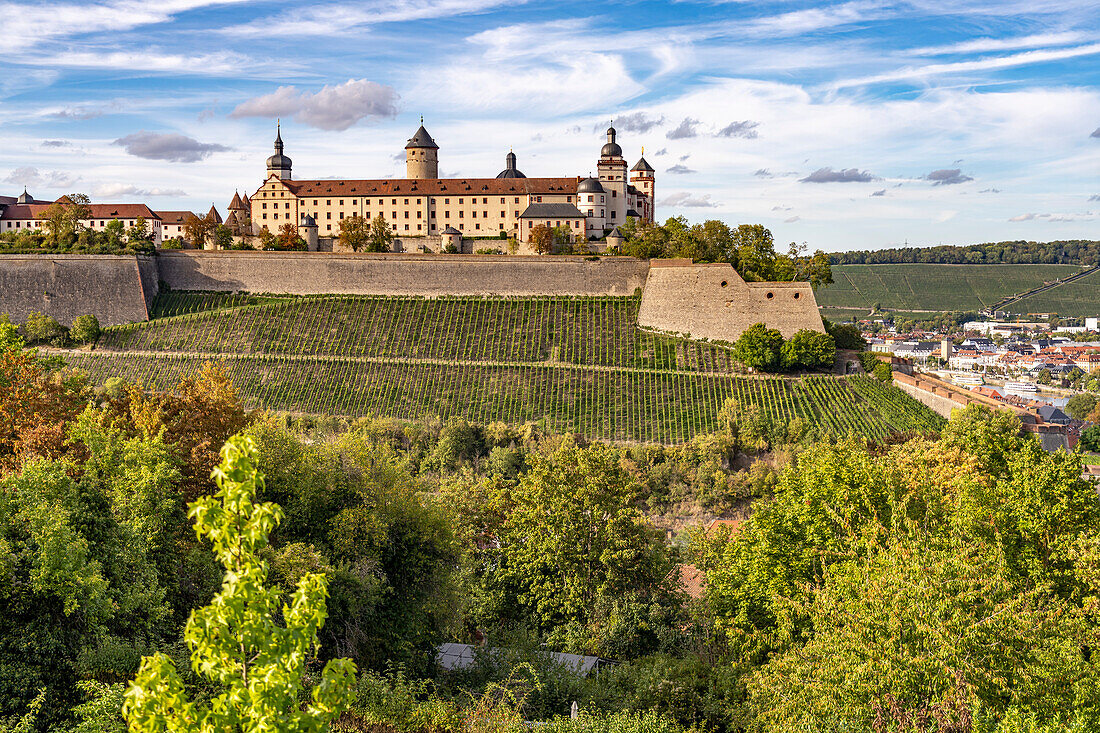 Die Festung Marienberg und Weinberge in Würzburg, Bayern, Deutschland