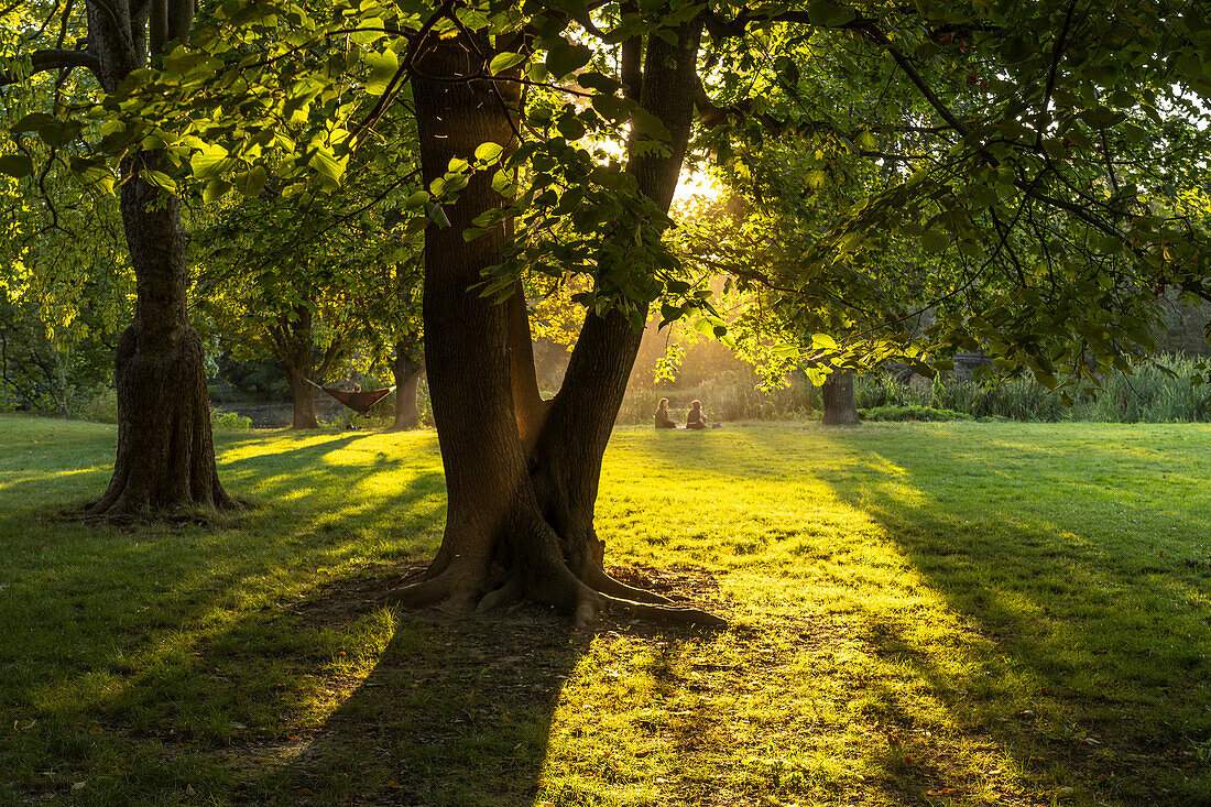 Clara-Zetkin-Park in Leipzig, Saxony, Germany