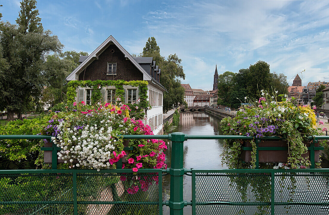 Üppiger Blumenschmuck ziert die Pont Tournant mit Blick auf das Münster, Strassburg, Elsass, Frankreich