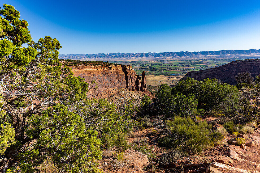 Felsen und Canyons vom Rim Rock Drive im Colorado National Monument aus gesehen, USA