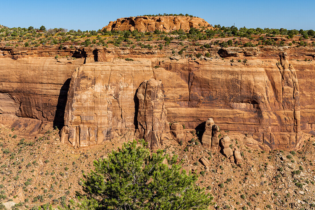 Monumnetas and Canyons as viewed off of Rim Rock Drive in Colorado National Monument