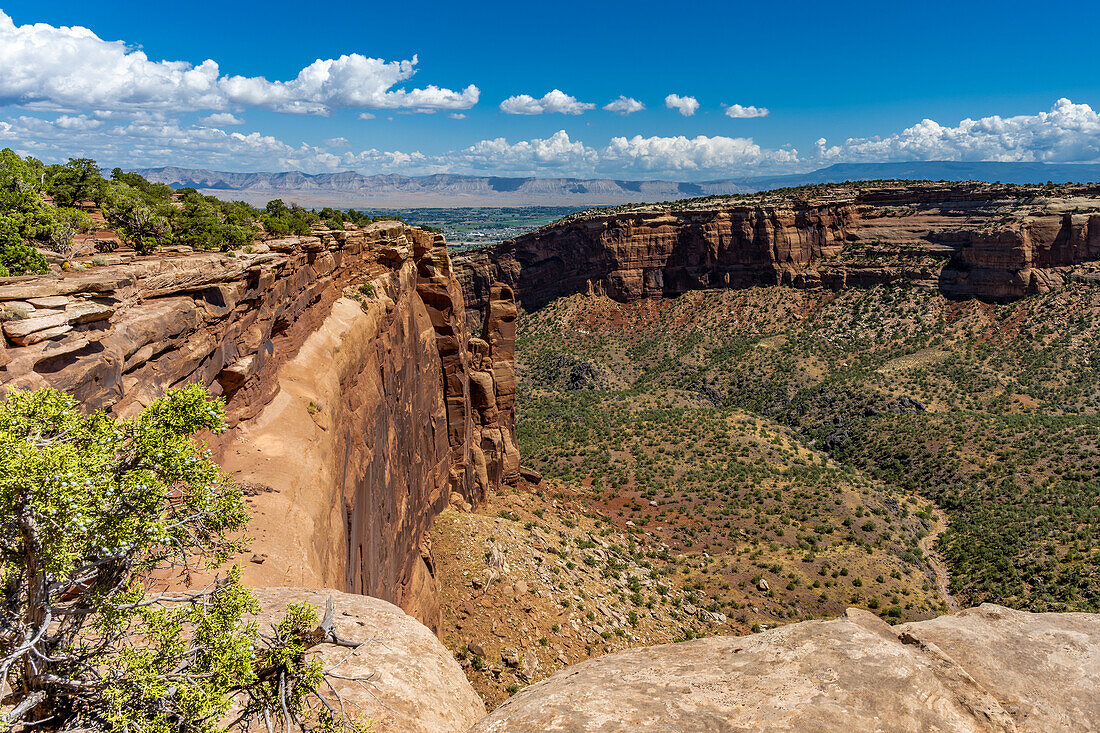 Felsen und Canyons vom Rim Rock Drive im Colorado National Monument aus gesehen, USA