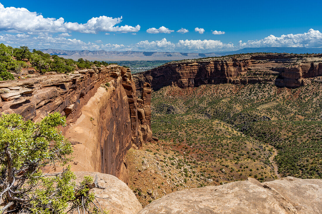 Monumnetas and Canyons as viewed off of Rim Rock Drive in Colorado National Monument