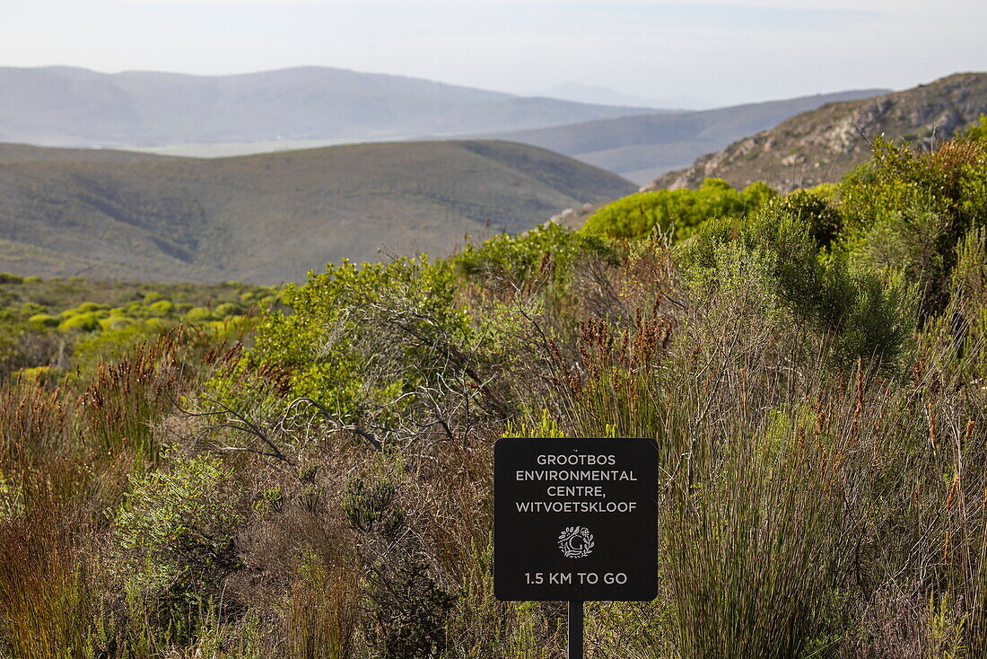 Entfernungsschild für Grootbos Environmental Centre, Witvoetskloof in der Landschaft, Grootbos Private Nature Reserve, Westkap, Südafrika