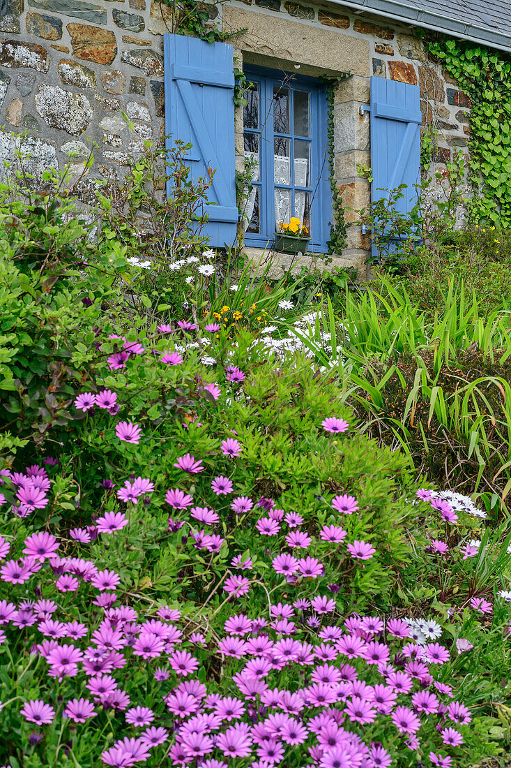 Breton house with floral decorations, Lostmarc'h, GR 34, Zöllnerweg, Sentier Côtier, Crozon peninsula, Atlantic coast, Brittany, France