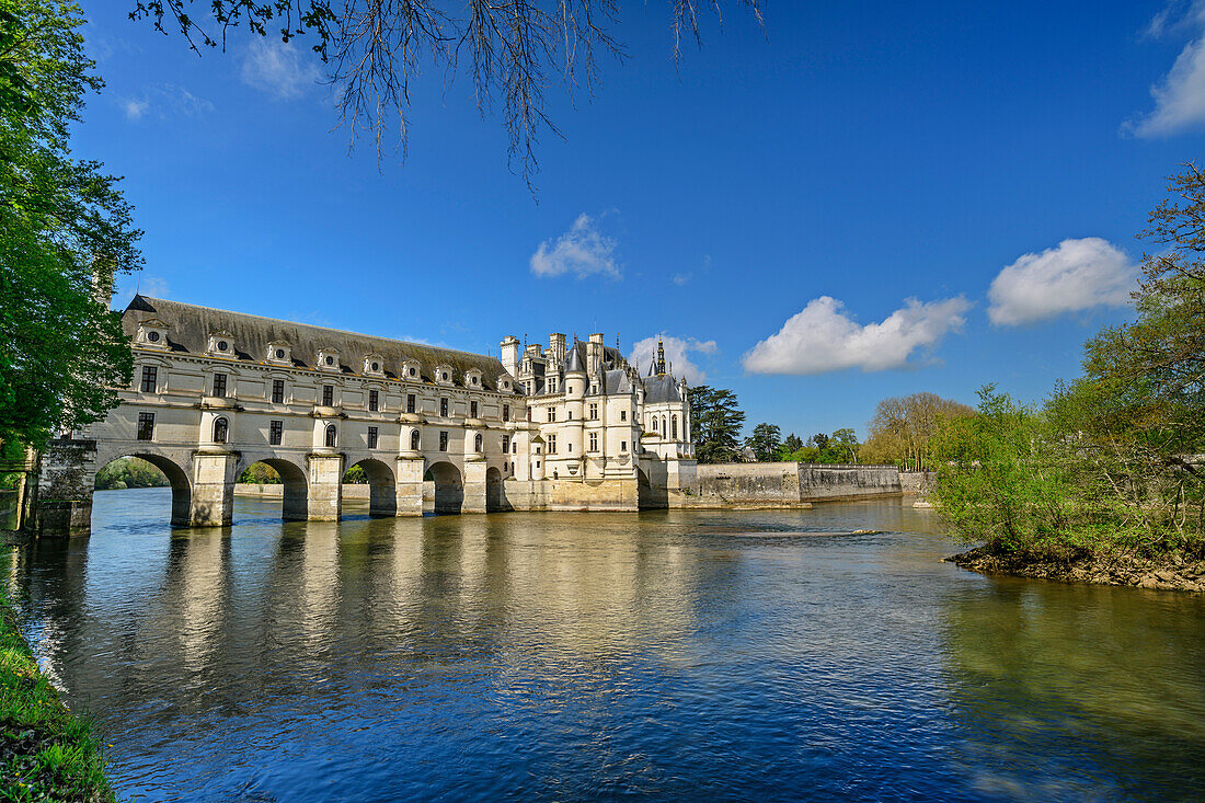 Schloss Château de Chenonceau mit dem Fluss Cher, Loire-Schlösser, Loiretal, UNESCO Welterbe Loiretal, Frankreich