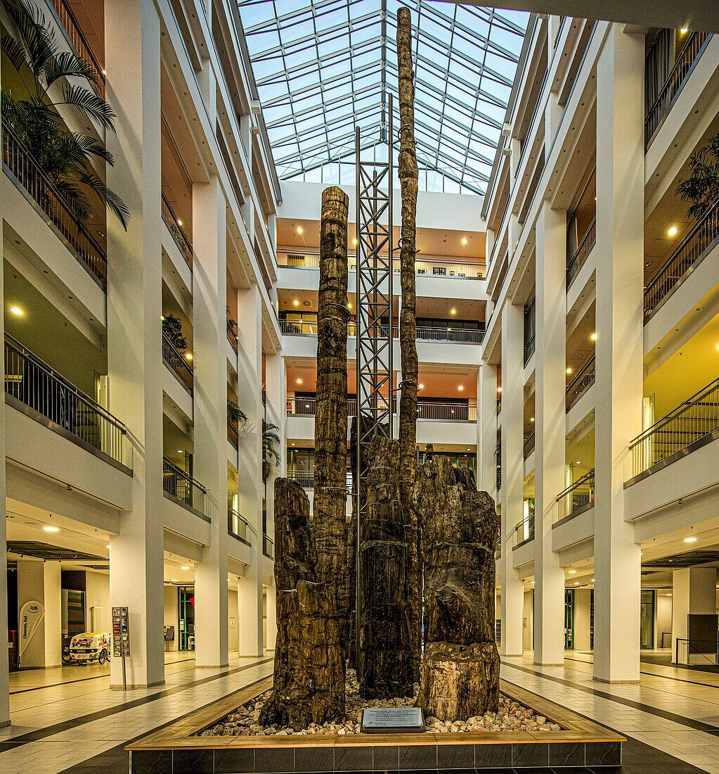Petrified Forest of Chemnitz in the DAStietz cultural department store, Chemnitz, Saxony, Germany