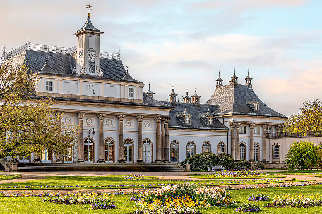 Flowers in front of the New Palace or Palace Museum in Pillnitz Palace Park in spring, Dresden, Saxony, Germany