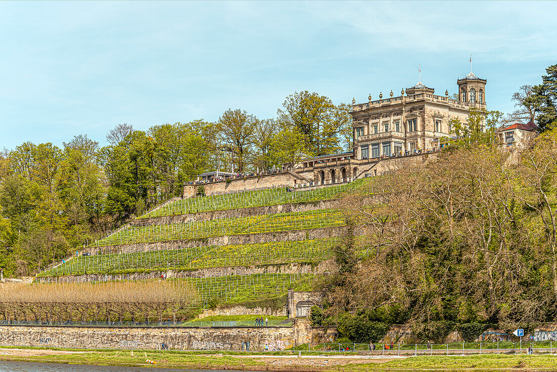 Villa Stockhausen (Lingnerschloss), eines der drei Elbschlösser im Elbtal von Dresden vom gegenüberliegenden Elbufer gesehen, Sachsen, Deutschland