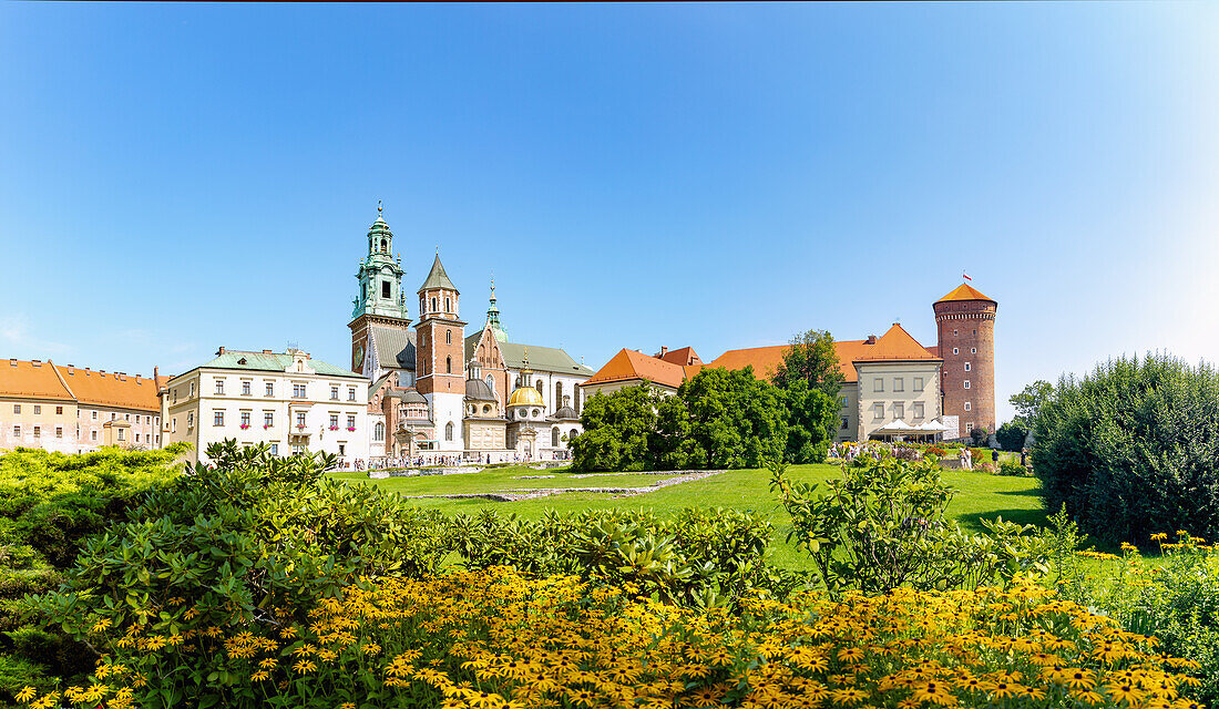 Wawel mit Kathedrale und Königsschloss in der Altstadt von Kraków in Polen
