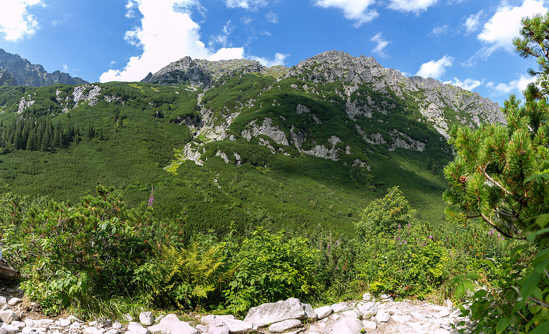 Gebirgszug des Mała Buczynowa Turnia am Wanderweg zum Tal der Fünf Polnischen Teiche (Dolina Pięciu Stawów Polskich) und Morskie Oko im Nationalpark Tatra (Tatrzański Park Narodowy) in Polen