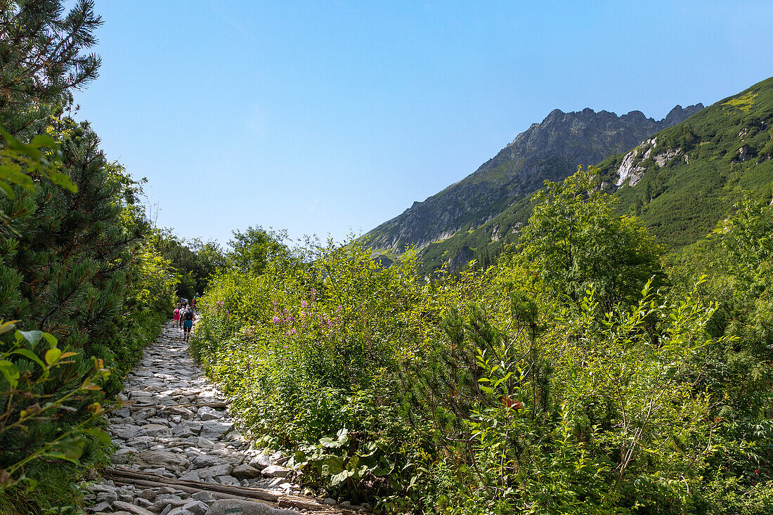 Hiking trail to the Valley of the Five Polish Ponds (Dolina Pięciu Stawów Polskich) and Morskie Oko in the Tatra National Park (Tatrzański Park Narodowy) in Poland