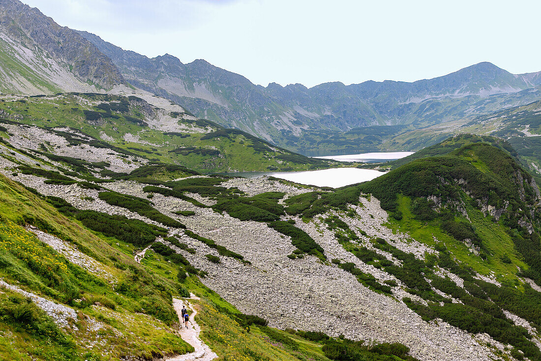 Chain of lakes Przedni Staw, Mały Staw and Wielki Staw in the Valley of the Five Polish Ponds (Dolina Pięciu Stawów Polskich) from the hiking trail to Morskie Oko in the Tatra National Park (Tatrzański Park Narodowy) in Poland