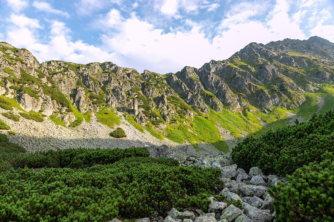 Ausblick auf den Gipfel Miedziane vom Höhenzug Świstówka Roztocka am Wanderweg vom Tal der Fünf Polnischen Teiche (Dolina Pięciu Stawów Polskich) zum Morskie Oko im Nationalpark Tatra (Tatrzański Park Narodowy) in Polen