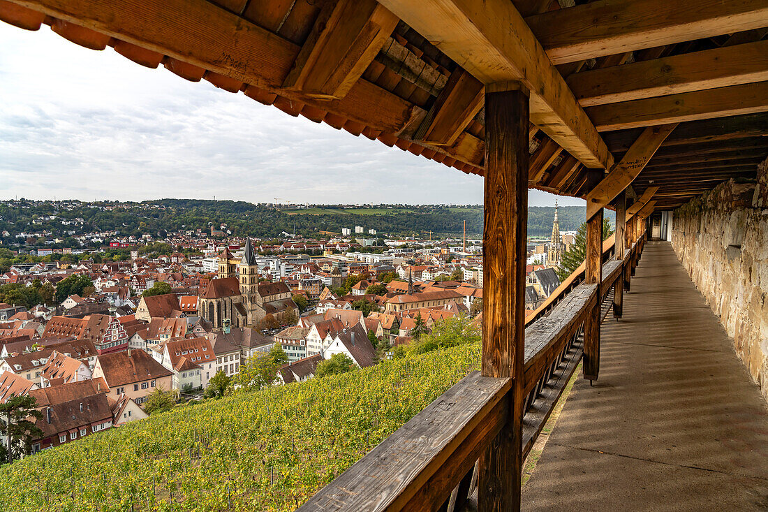 Blick von der Stadtmauer der Burg über Weinberg auf Esslingen am Neckar, Baden-Württemberg, Deutschland   