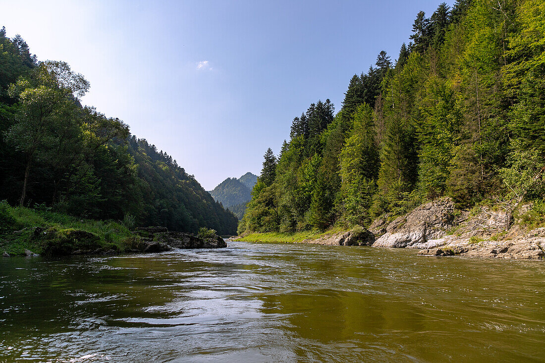 Floßfahrt im Dunajec-Canyon im Pieniny-Nationalpark (Pieninský Park Narodowy) in Südpolen in der Wojewoschaft Malopolskie in Polen