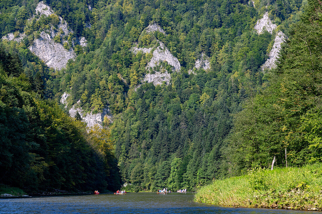 Floßfahrt im Dunajec-Canyon im Pieniny-Nationalpark (Pieninský Park Narodowy) in Südpolen in der Wojewoschaft Malopolskie in Polen