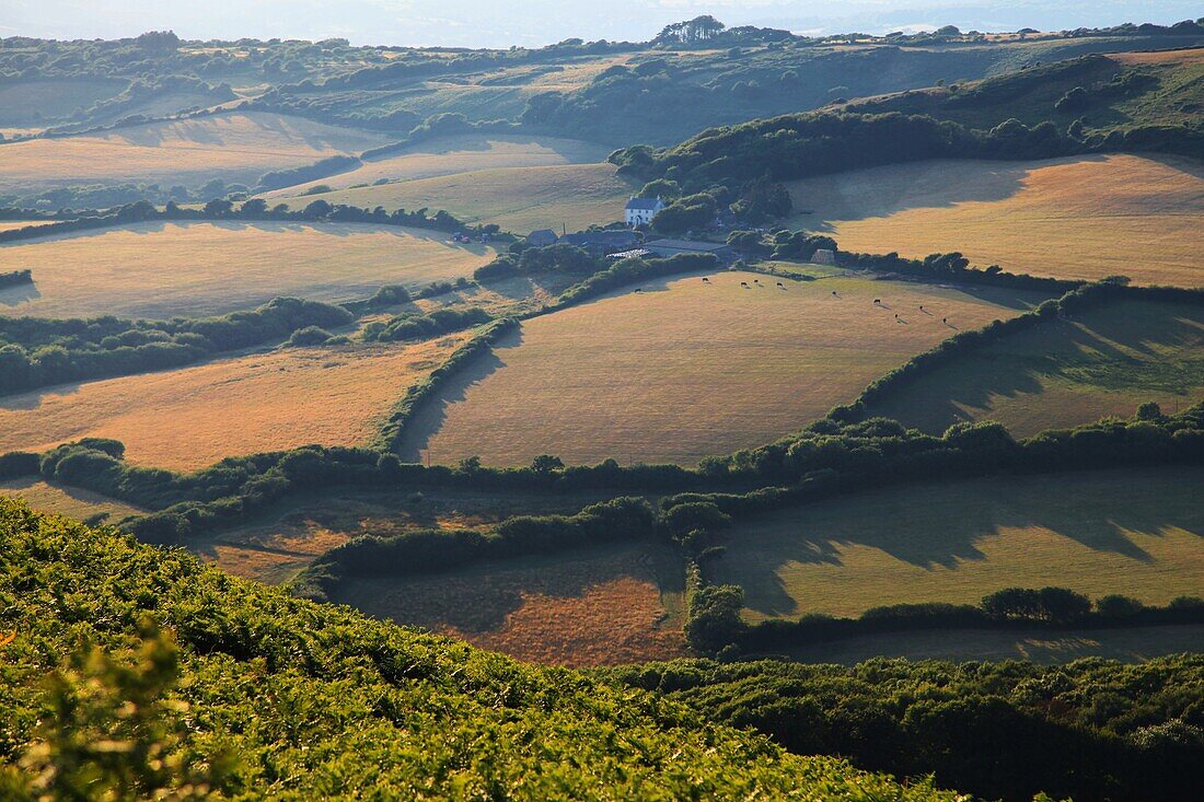 View of a typical English landscape with hedges