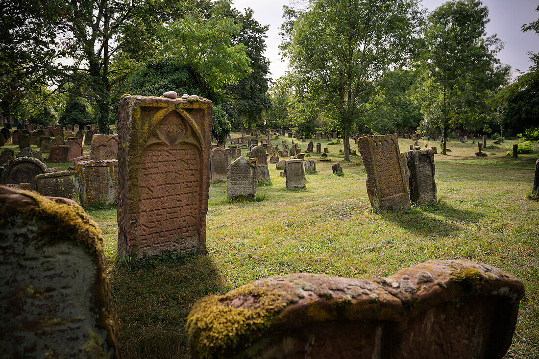 UNESCO Welterbe "SchUM Stätten", Mittelalterliche Grabsteine, Jüdischer Friedhof "Heiliger Sand", Worms, Rheinland-Pfalz, Deutschland, Europa