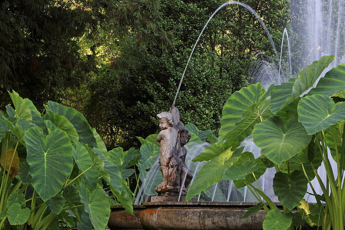 Garten der Villa Taranto, Verbania, Lago Maggiore, Piemont, Italien