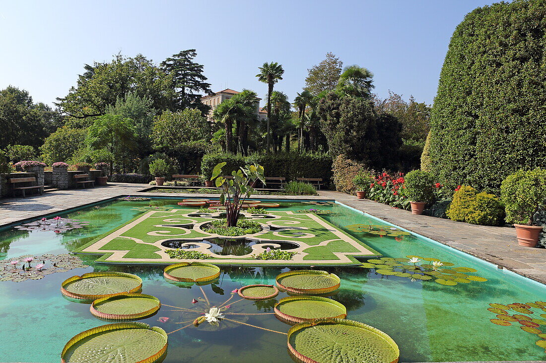 Garden of Villa Taranto, Verbania, Lake Maggiore, Piedmont, Italy