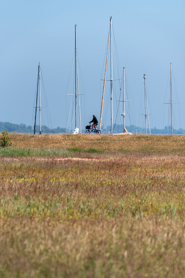 Sailing harbour, in front of it a dyke with cyclists, Vitte, Hiddensee Island, Mecklenburg-West Pomerania, Germany