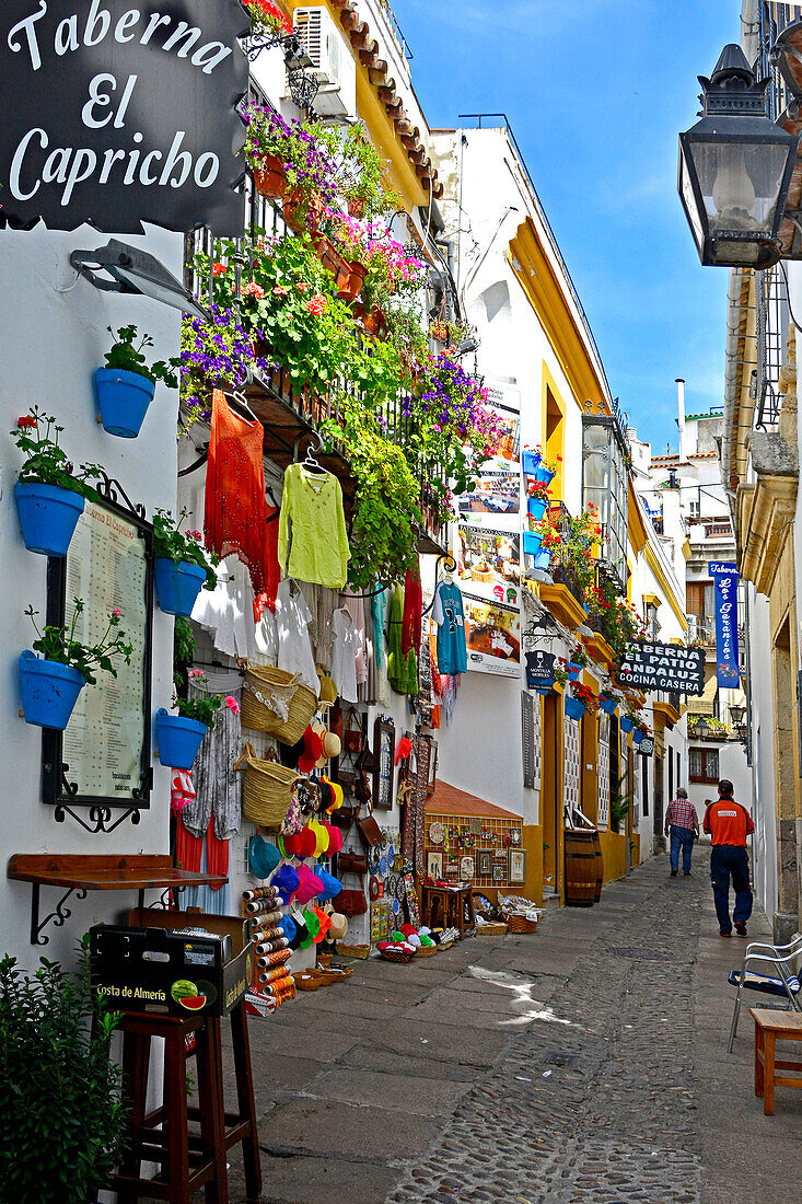 Cordoba, Andalusia, Spain, old town, in the Juderia, with many shops and narrow old town streets,