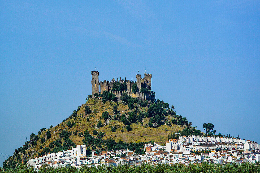 Almodovar del Rio, near Cordoba, Andalusia, medieval castle, Spain