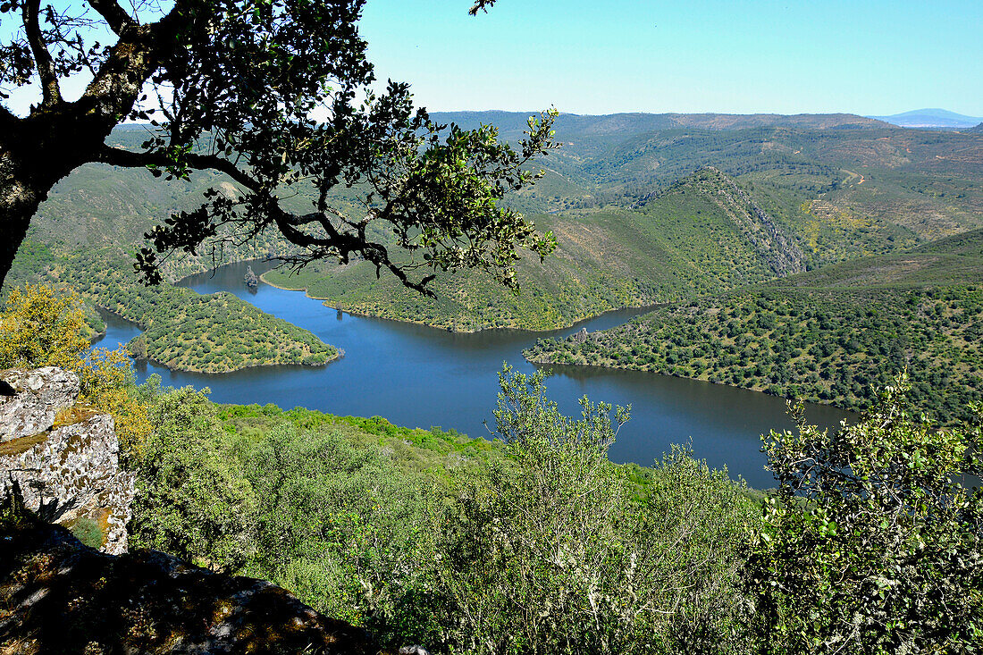 Monfragüe, Nationalpark, hier mündet der Tetjar in den Tajo, Extremadura, Spanien