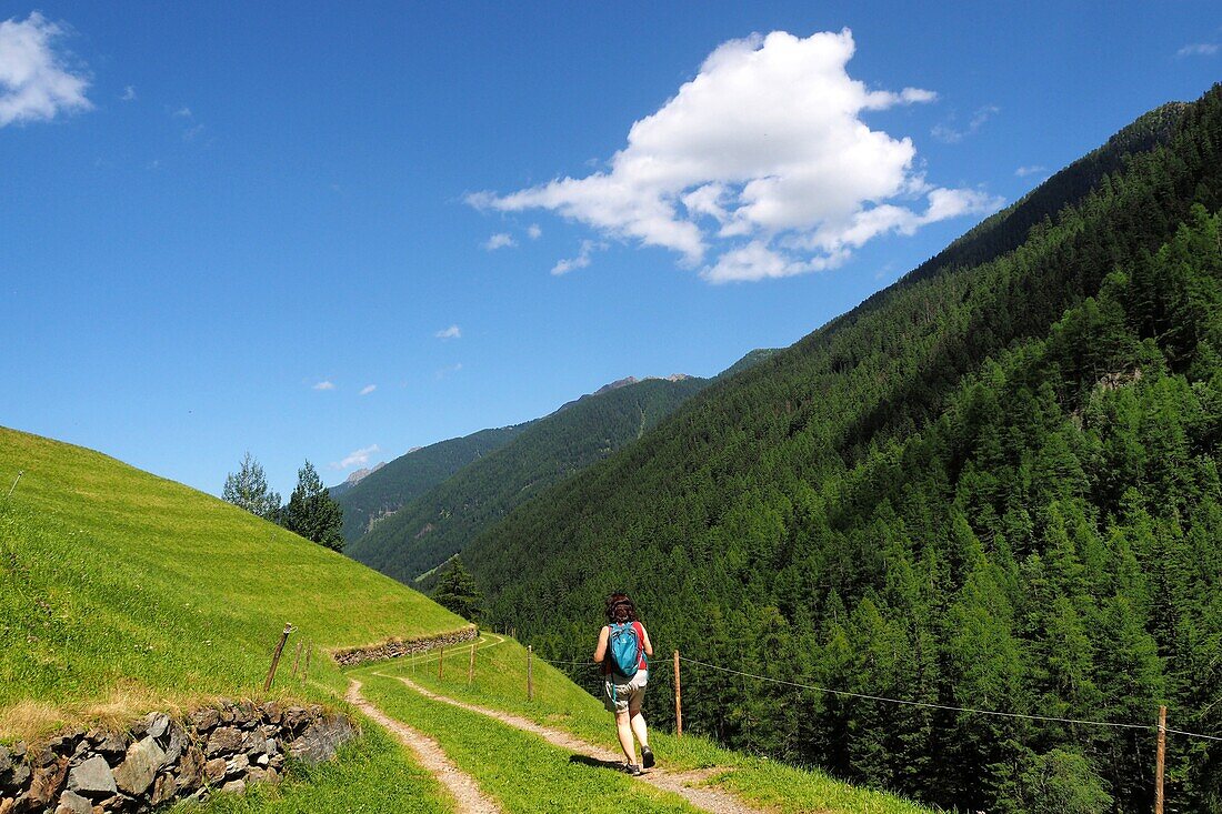 Hiking near St. Gertrude in the upper Ultental, South Tyrol, Italy