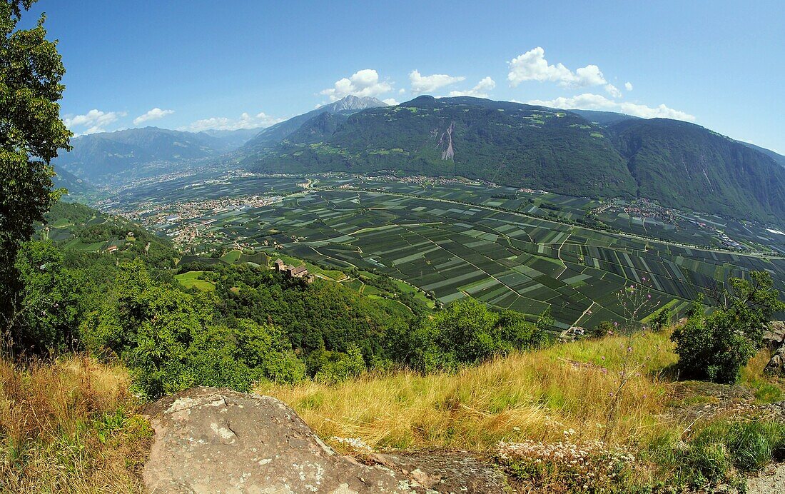 View of the Adige Valley near Lana near Meran, South Tyrol, Italy