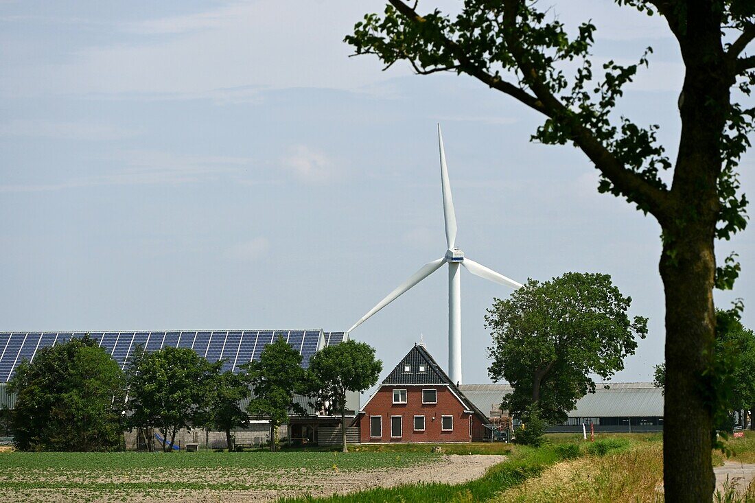 Agrarland bei Dokkum, Friesland, Niederlande