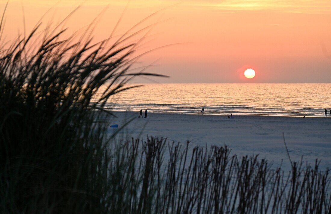 Sunset at Nes beach on the island of Ameland, Friesland, Netherlands