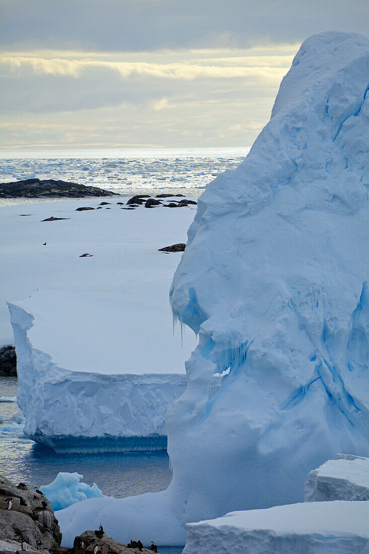 Antarktis; antarktische Halbinsel bei Petermann Island; riesiger Eisberg direkt an der Küste; unzählige Eisschollen auf dem Meer
