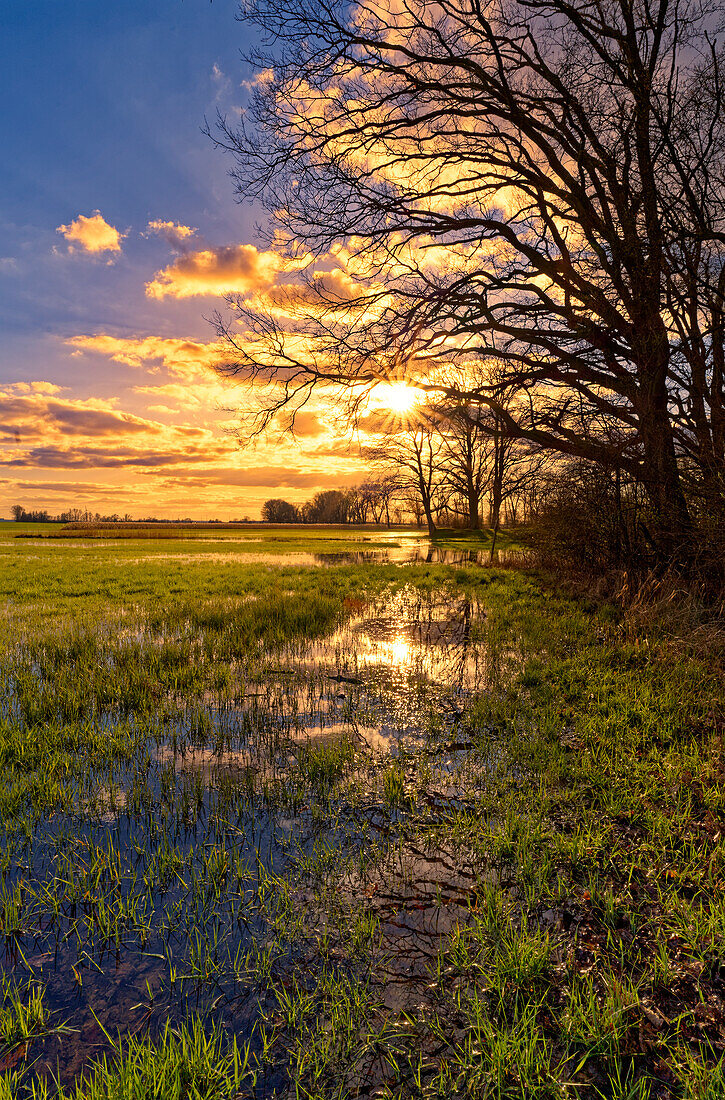 Abendstimmung im NSG Sulzheimer Gipshügel, Landkreis Schweinfurt, Unterfranken, Bayern, Deutschland