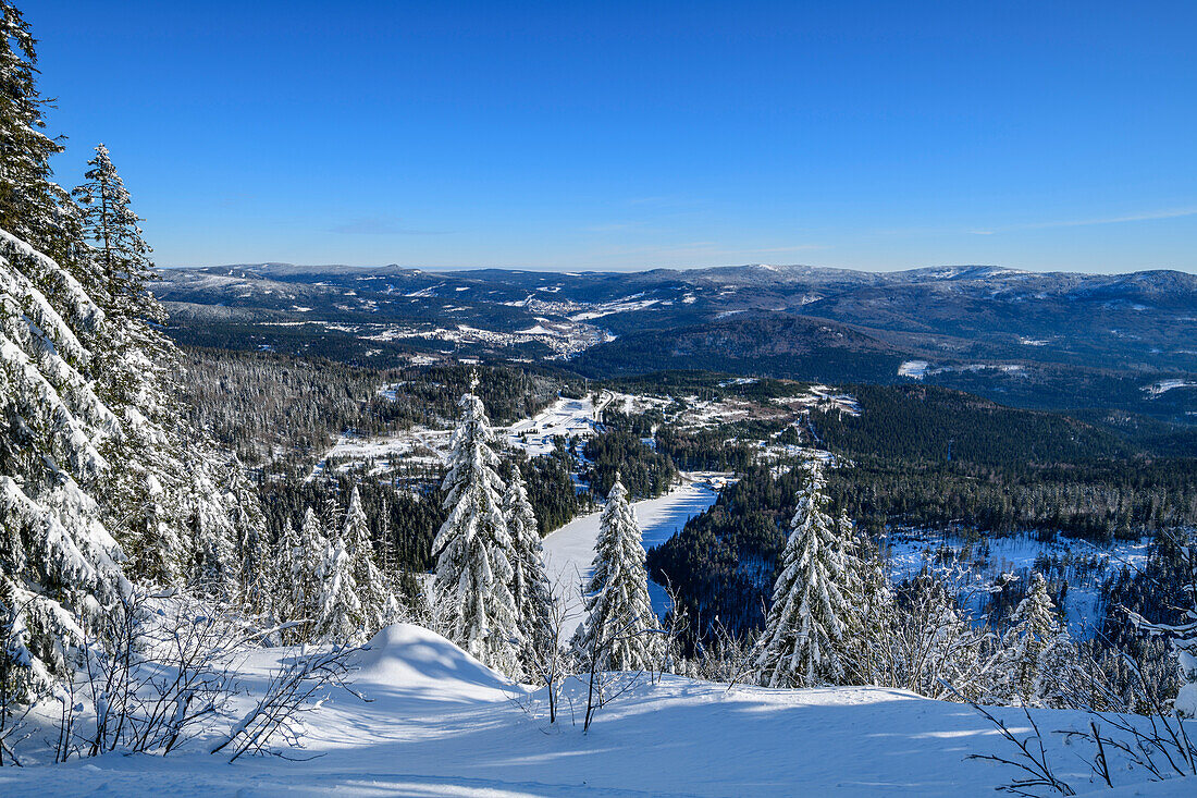 Blick vom Arber auf verschneiten Wald, Großer Arber, Bayerischer Wald, Niederbayern, Bayern, Deutschland 