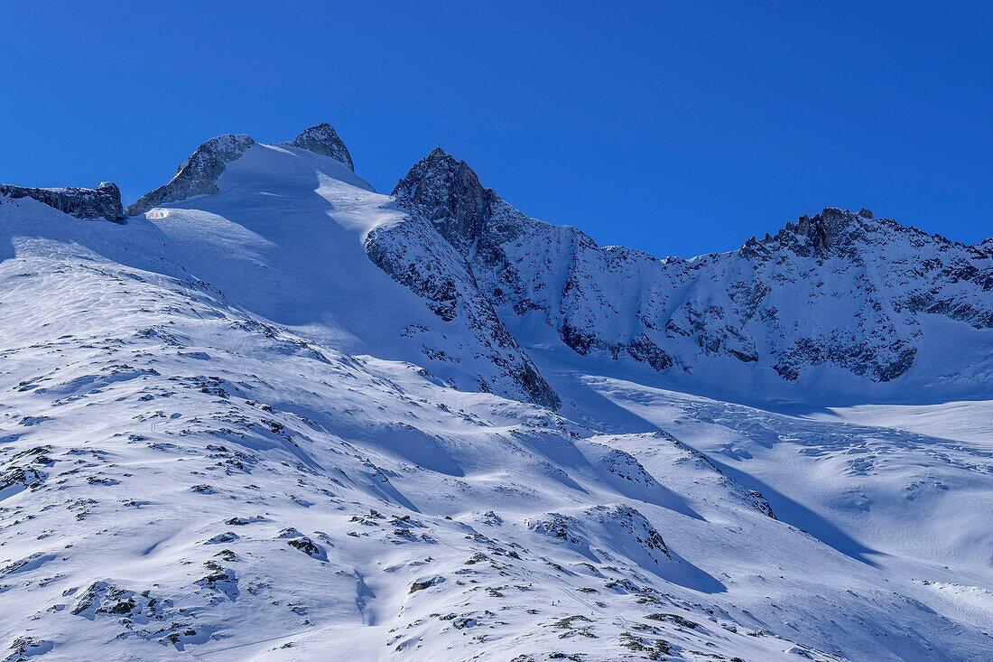 Gabler und Reichenspitze von der Zittauer Hütte, Nationalpark Hohe Tauern, Zillertaler Alpen, Tirol, Österreich