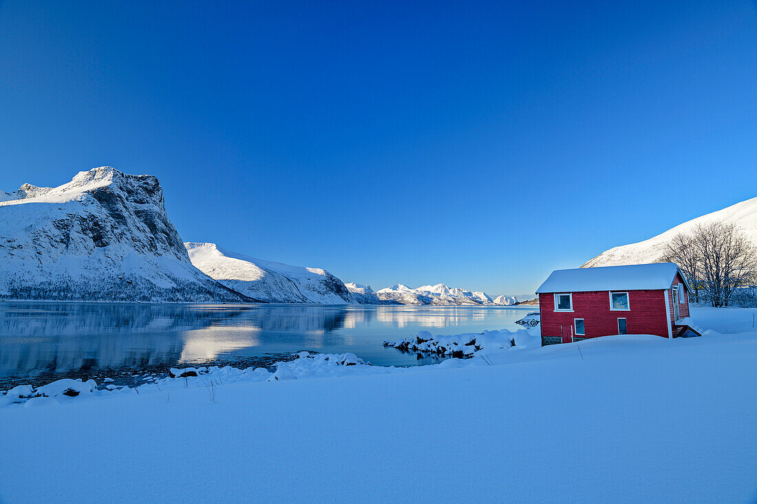 Rotes Haus am Nordfjord, Skaland, Senja, Troms og Finnmark, Norwegen