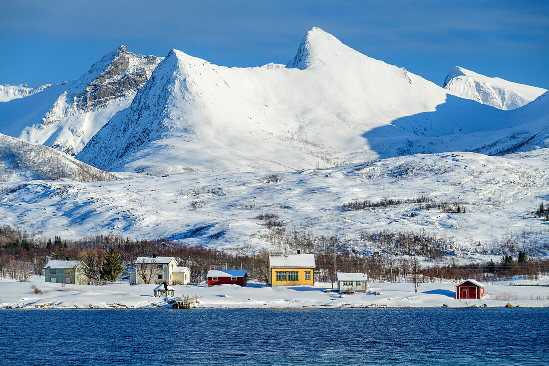 Verschneite Häuser und Berge am Nordfjord, Nordfjord, Senja, Troms og Finnmark, Norwegen